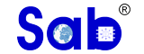 BIWIN Technologies的LOGO